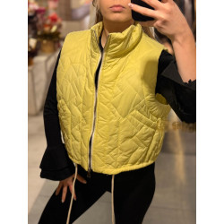 BEZRĘKAWNIK ŻÓŁTY